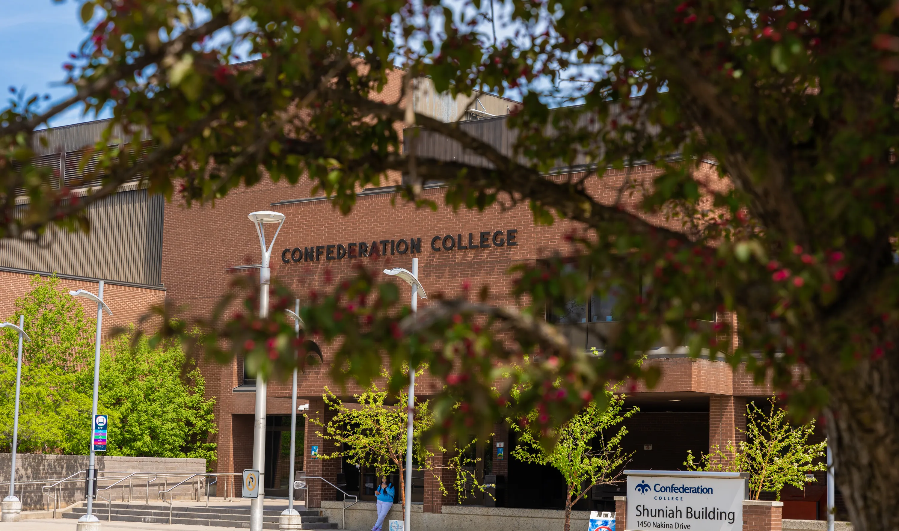 Confederation College Shuniah Building entrance framed by tree branches with red berries on campus.